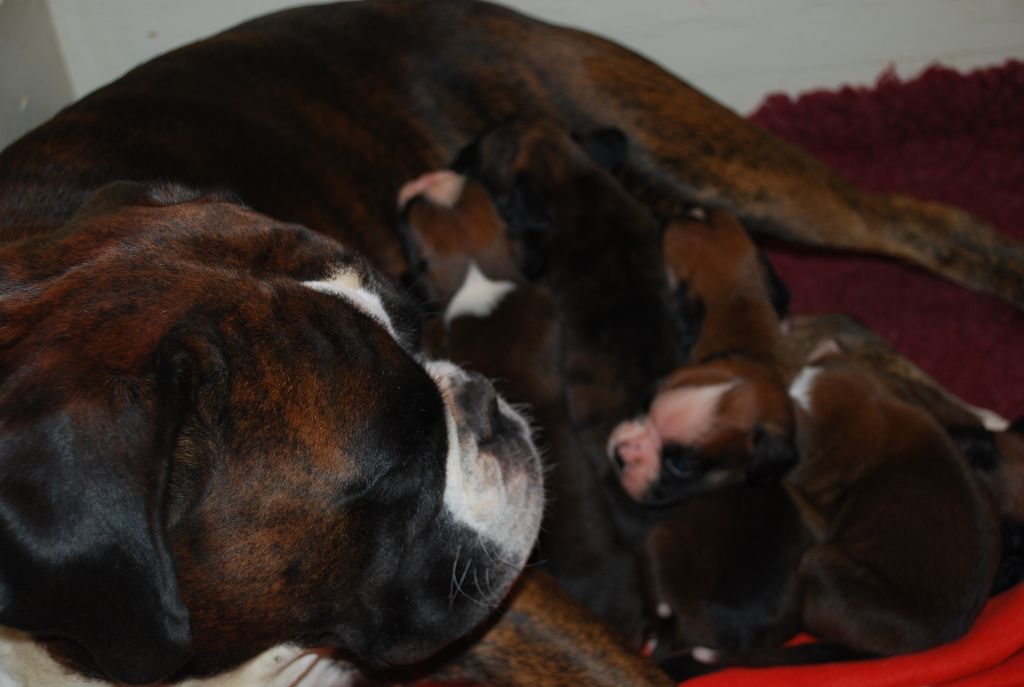 de Cantelaudette de Quitterie - Ines, une maman attentive