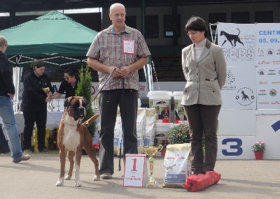 de Cantelaudette de Quitterie - CENTRALEUROPEAN BOXER SHOW