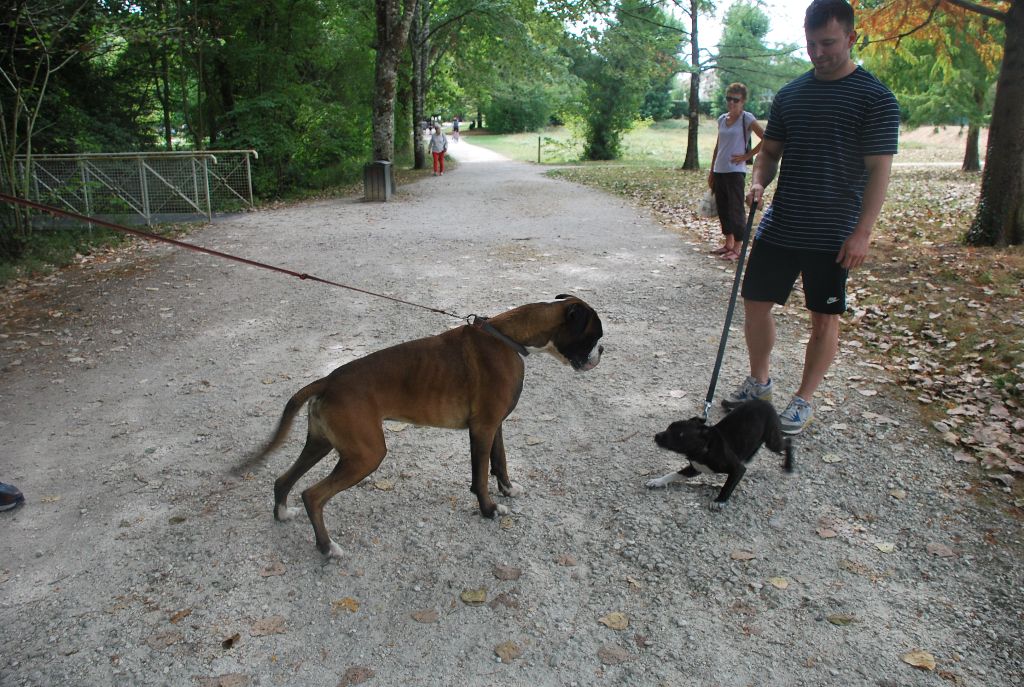 de Cantelaudette de Quitterie - Rencontre lors d'une promenade